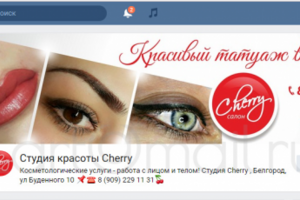 Работа 3161904