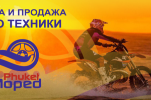 Работа 3361081
