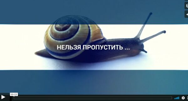 img3481104.png