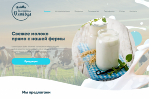 Белозерская слобода