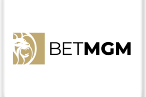 Парсер NJ.BETMGM.COM