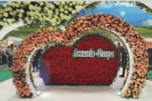 Видеодизайн