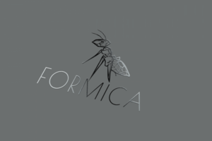 Логотип для одежды Formica. Брендинг