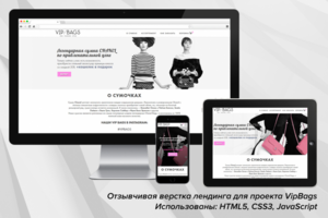 Верстка лендинга VipBags (HTML5, CSS3, JavaScript)