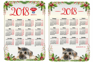 Карманный календарик 2018