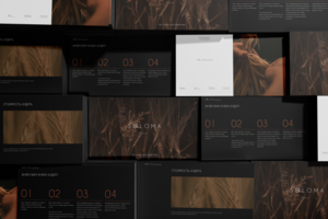 Soloma presentation design