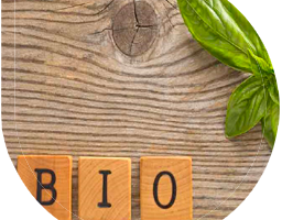 Biotoilet