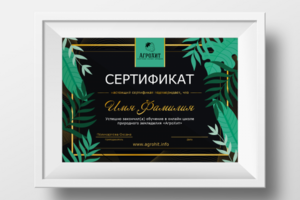 Дизайн сертификата для Агрошколы