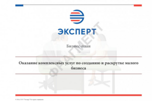 Бизнес-план в виде презентации