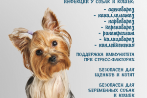 Форфет ВИРУСУ НЕТ!