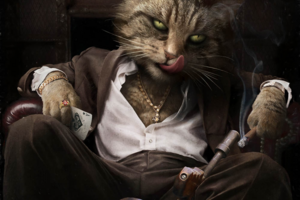 Кот