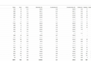 Кейс - Контекстная реклама - Обувь из Испании