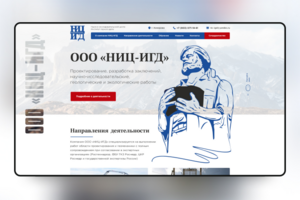 НИЦ-ИГД