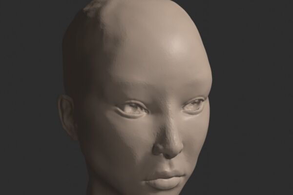 img4548104.png