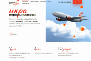 Интернет магазин SAMOLETIKRA.RU
