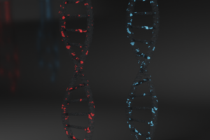 DNA sync