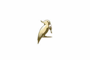 Parrot