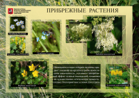 Строгино-парк. информационный щит
