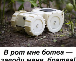 ЗАГОЛОВОК ДЛЯ СТАТЬИ О РОБОТЕ-САДОВНИКЕ