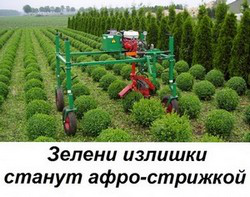ЗАГОЛОВОК ДЛЯ СТАТЬИ О САДОВОМ ТРИММЕРЕ