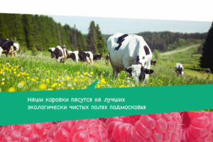 Сайт под ключ