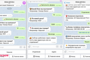 Телеграм бот для заполнения формы после аукциона