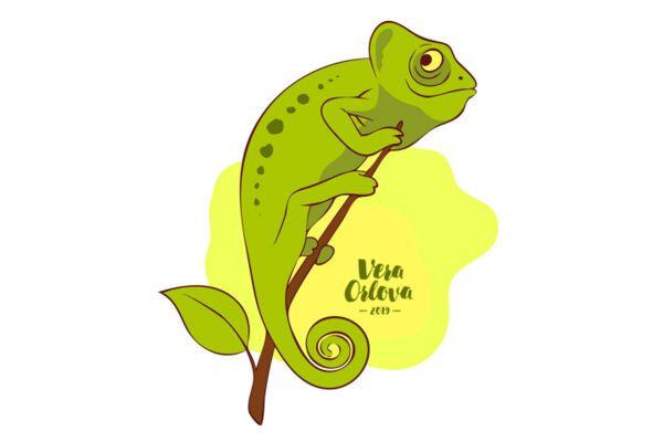 img3657243.png