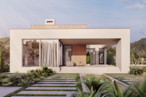 Minimalist House