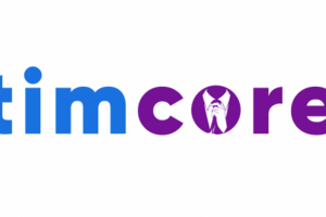 Логотип Timcore