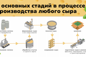 Производство сыра