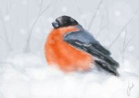 img1404446.png