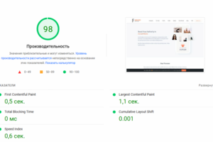 Оптимизация скорости сайта PageSpeed Insights | Ускорение сайтов до 95–98 баллов в Красноярске и Хакасии