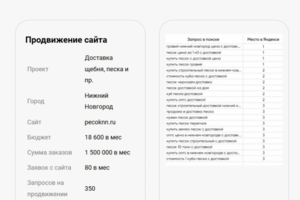 Продвижение по запросам pecoknn.ru