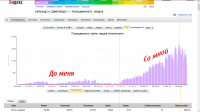 ssdosug.ru продвижение по трафику