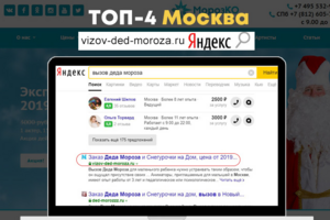 SEO Дед мороз на дом