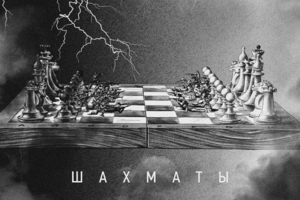 Шахматы