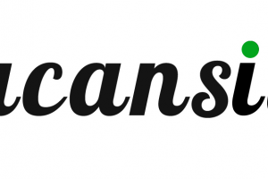 Vacansii