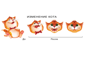 Изменение кота
