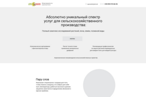 Прототип одностраничника для Агроанализа