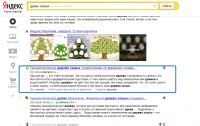 img2039439.png