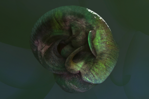 3D shell
