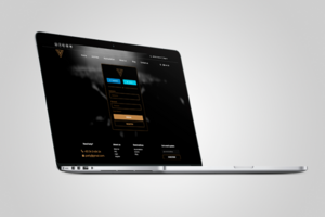 Интернет магазин для Чешской компании Stagman