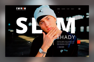 Кейс на Behance Eminem