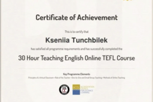 Международный сертификат Online TEFL Course