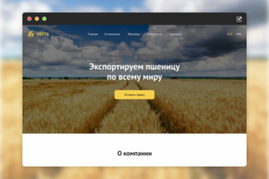 Landing Page для компании Веста (Экспорт пшеницы)