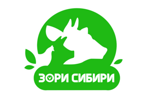 логотип для компании "зори сибири"