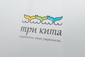Агенство недвижимости "Три кита"