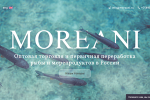 Адаптивный сайт компании Moreani