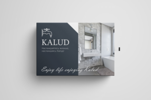 Разработка упаковки для смесителя KALUD