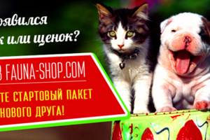 Баннеры для зоо-магазина